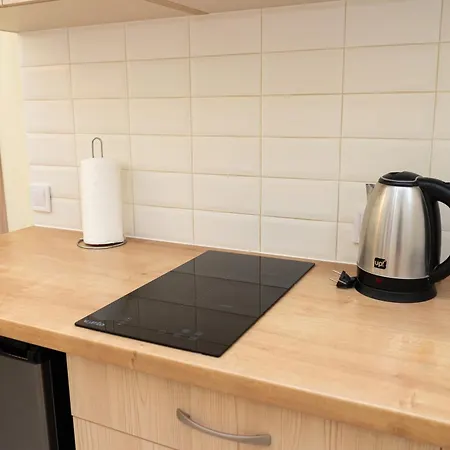 Appartement Comfort і затишний *