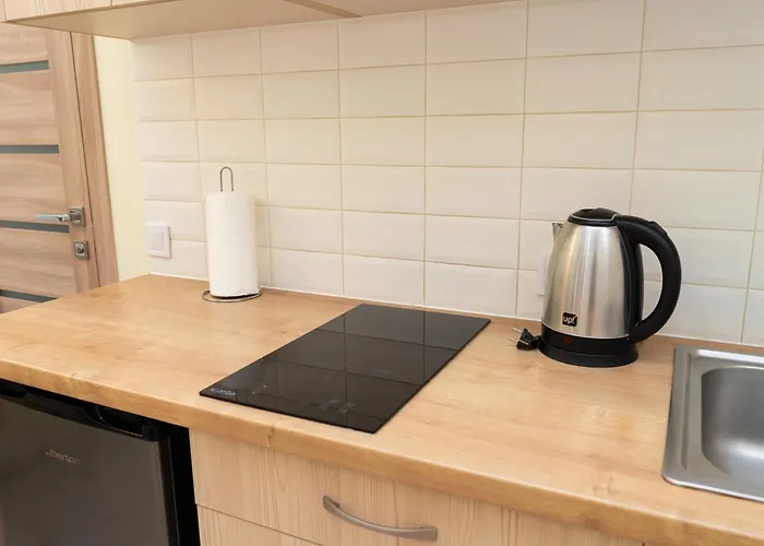 Appartement Comfort і затишний *