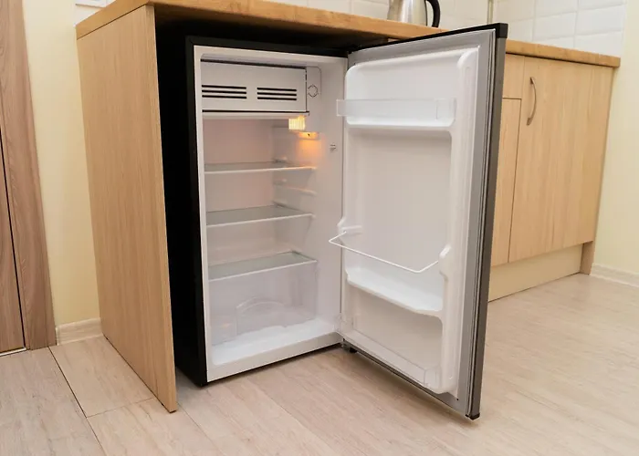 Appartement Comfort і затишний *